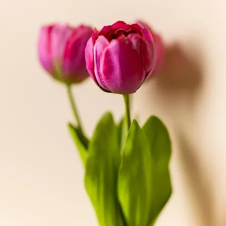 Vendégház Il Tiro A Segno